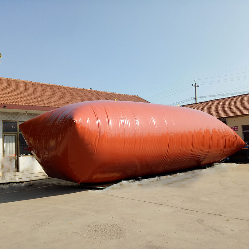 New portable biogas storage device for biogas digester with balloon type biogas bag